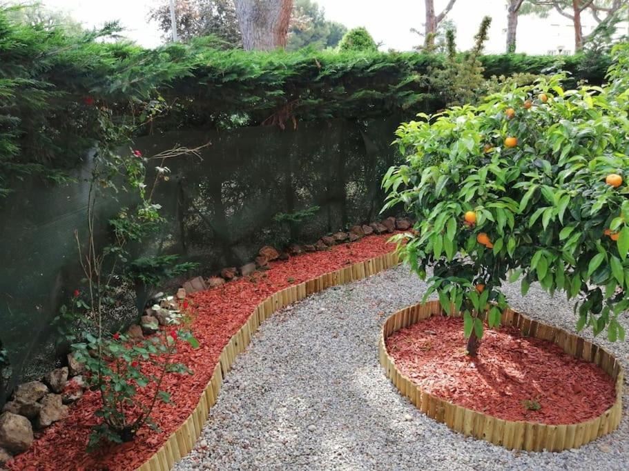 Beauvallon Plage - Magnifique T2 Avec Jardin, Proche Centre, Mer Antibes Exterior photo